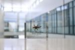 WWII Barbed Wire Artifact Display for Collectors
