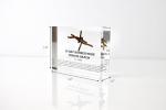 WWII Barbed Wire Artifact Display for Collectors