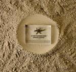WWII Barbed Wire Artifact Display for Collectors