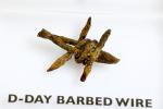 WWII Barbed Wire Artifact Display for Collectors