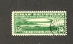 U.S. Air Mail C13 Zeppelin 65 Cent Stamp