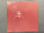 Apollo 11 Lunar Module "The Eagle Has Wings" Photo