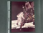 Buzz Aldrin Apollo 11 Lunar Module Steps Photo