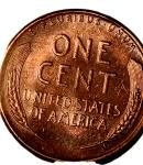 1955 Lincoln Wheat Cent Doubled Die Error