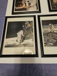 Apollo 11 NASA Photos of Collins, Armstrong, Aldrin