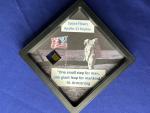 Apollo 11 NASA Lunar Module Kapton Foil Display