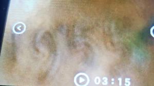 1955 Doubled Die Lincoln Cent - RB Gem