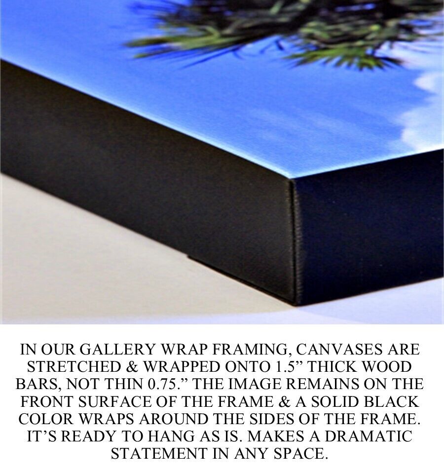 Abstract Caribbean Framed Canvas Giclee - $395