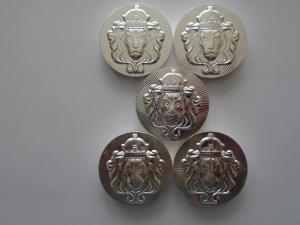 Set of 5 Scottsdale Mint Silver Stackers