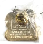 Apollo 11 20th Anniversary NASA Moon Landing Pin