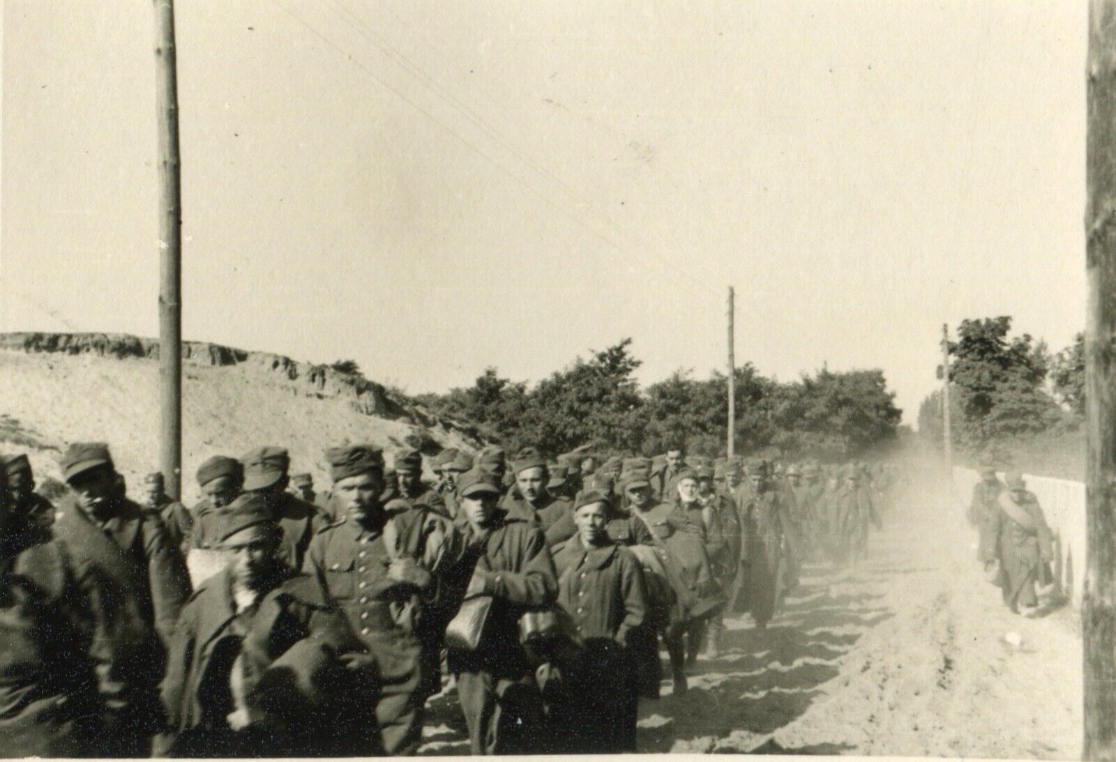 WWII German Military Photo Album DVD: 13000+ Pictures