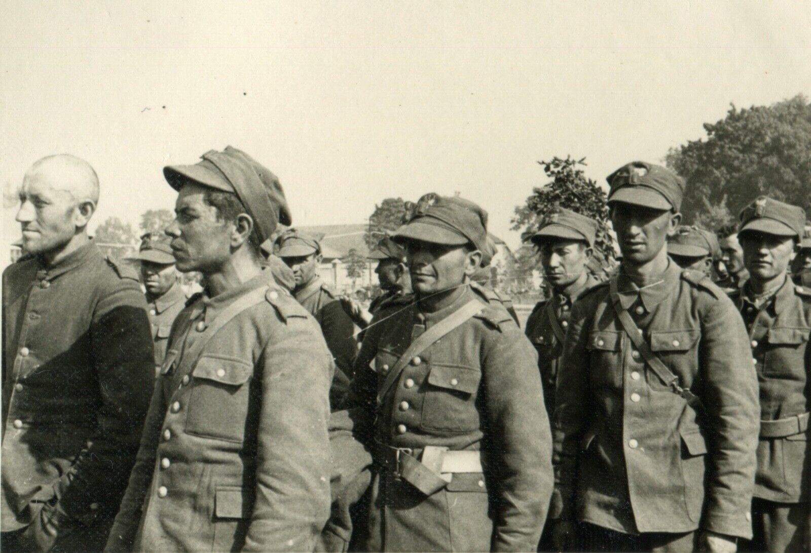 WWII German Military Photo Album DVD: 13000+ Pictures