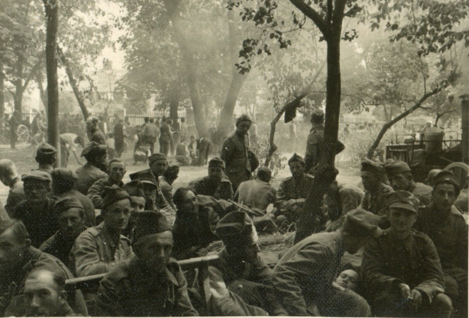 WWII German Military Photo Album DVD: 13000+ Pictures