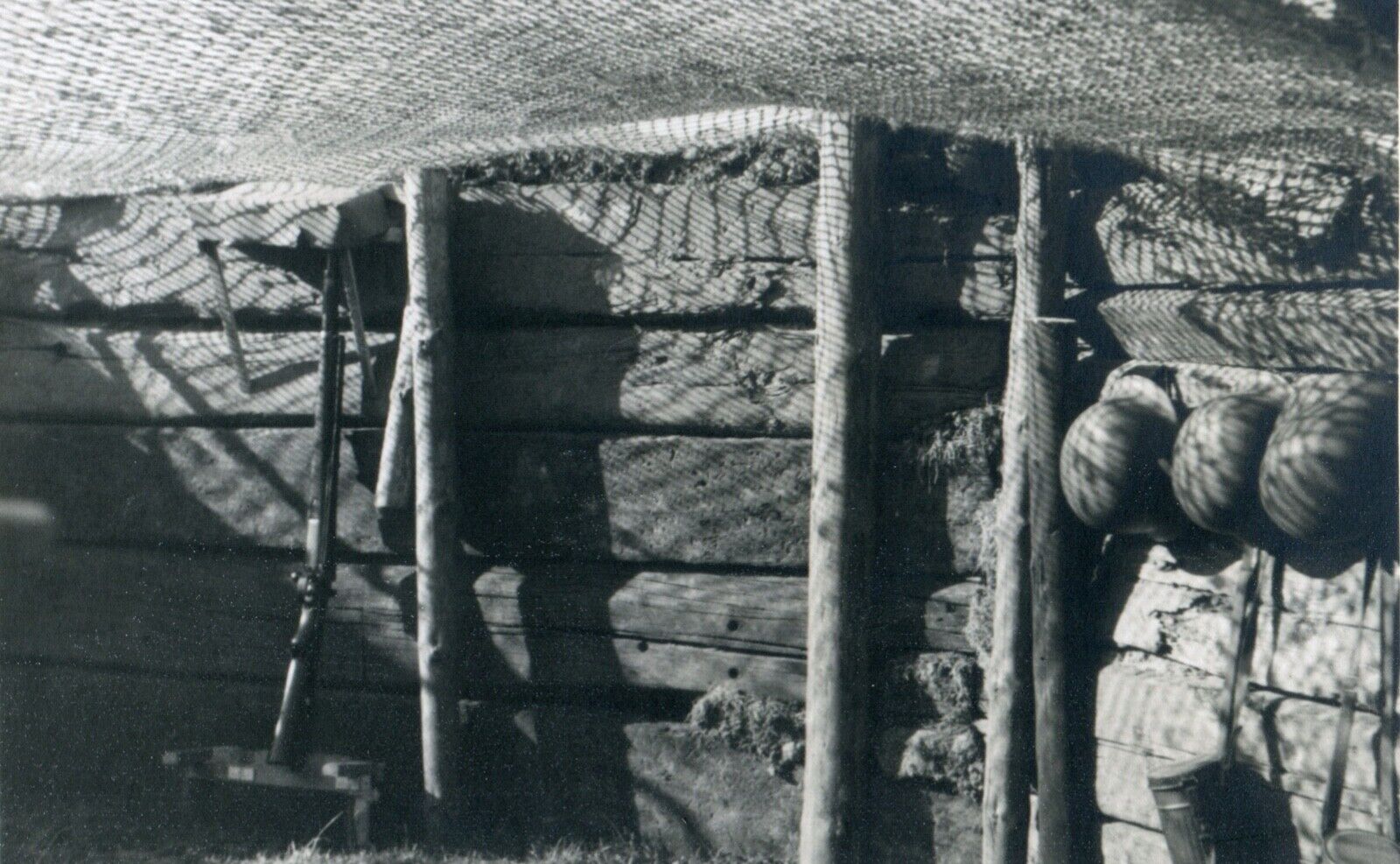 WWII German Military Photo Album DVD: 13000+ Pictures