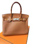 Hermes Birkin Touch 30 Limited Edition Bag