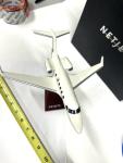 Embraer Phenom 300 Model Jet 1:72 Limited Edition