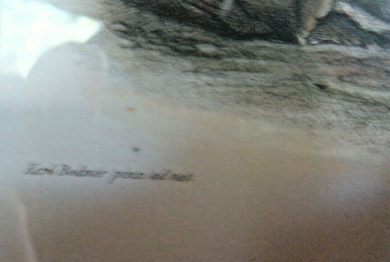 Karl Bodmer "Dance of Mandan Indians" Aquatint