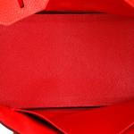 Red Hermes Birkin Bag with Gold Hardware 30