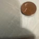 1955 Wheat Penny - Rare Double Die Coin
