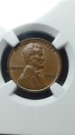 1955 Doubled Die Lincoln Wheat Penny NGC MS60