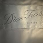 Silver Fox Full Length Fur Coat by Dion Furs