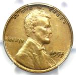 1955 Doubled Die Lincoln Cent DDO - PCGS Uncirculated