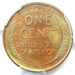 1955 Doubled Die Lincoln Cent DDO - PCGS Uncirculated