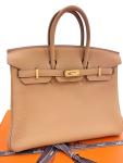 Hermes Birkin 25 Biscuit Togo Leather Handbag