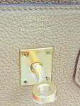 Hermes Birkin 25 Biscuit Togo Leather Handbag