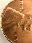 1955 Lincoln Wheat Penny with Rare Errors