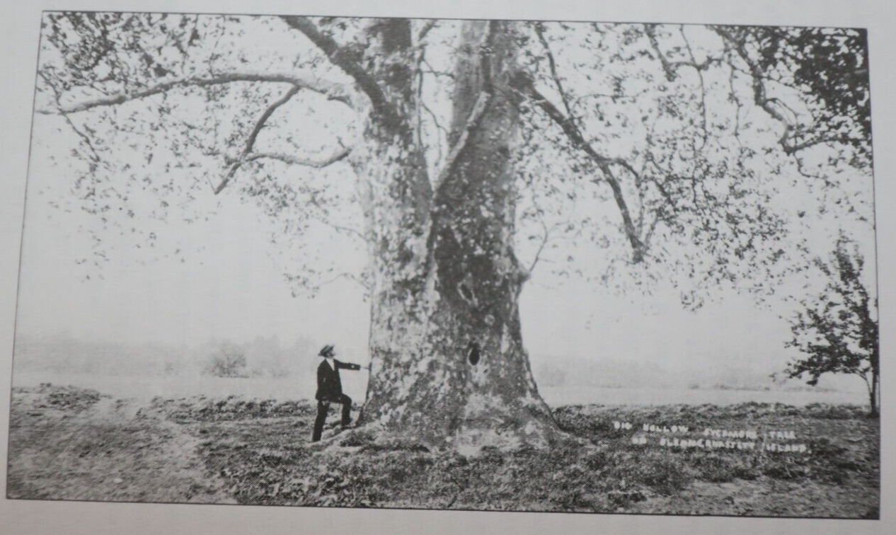 Blennerhassett Island Home: Saga Collectibles Expedition