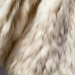 Vintage 1980s White Blue Fox Fur Jacket