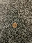 1974 Lincoln Penny Without Mint Mark