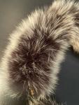 Silver Purple Fox Fur Accessory Scarves and Belt