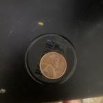 1955 D Lincoln Wheat Penny - Vintage Collectible