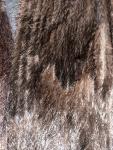 Dark Brown Black Sheared Mink Fur Coat