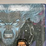 Vinland Saga Vol. 12 Manga - Misprint Edition