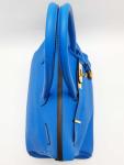 Hermes Birkin 35 Bleu Hydra Handbag with Gold Hardware