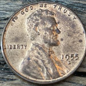 1955 D Lincoln Wheat Penny Collectible