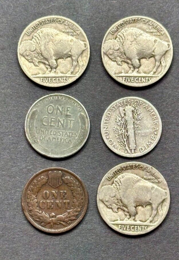 Saga Collectibles: 30 US Coin Starter Collection