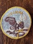 Apollo 11 Military Mission Patch - Vintage Collectible