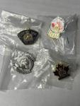 Set of 36 Unique RCMP Pins Collection