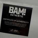 Vinland Saga Artist Signed 8x10 Bam Box Art