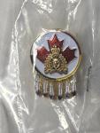 Set of 36 Unique RCMP Pins Collection