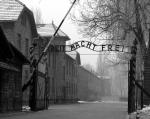 World War II WW2 Auschwitz German Concentration Camp WW 11 8"x 10" Photo 8