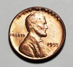 1955 P Lincoln Wheat Penny Double Die Collectible