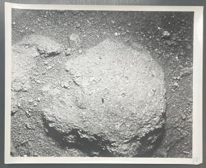 1969 Apollo 11 Moon Boulder Press Photo