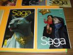 10 Saga Image Comics Issues #4-20 Collection