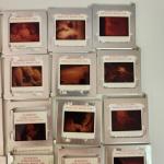 Apollo 11 Moon Landing Photo Slide Collection