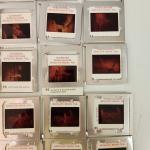 Apollo 11 Moon Landing Photo Slide Collection